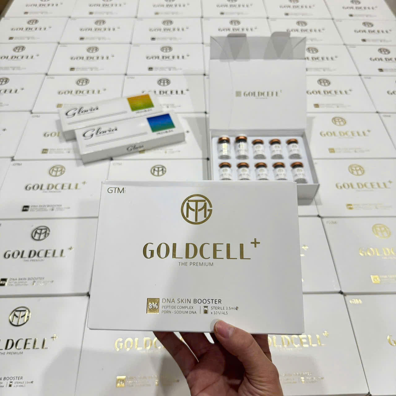 GTM 8% – Goldcell